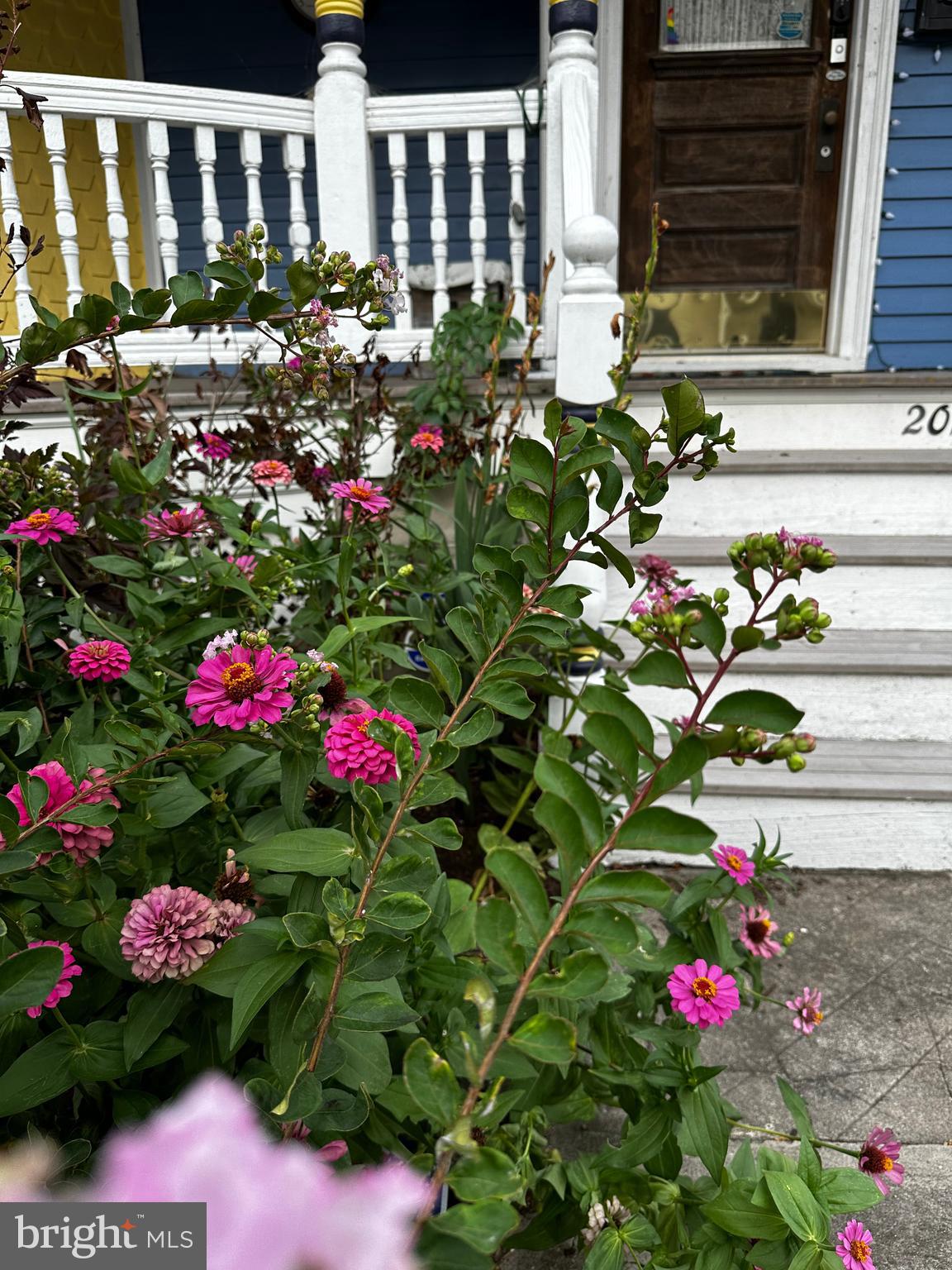 201 Federal Street Milton, DE 19968 - Photo 67 of 78