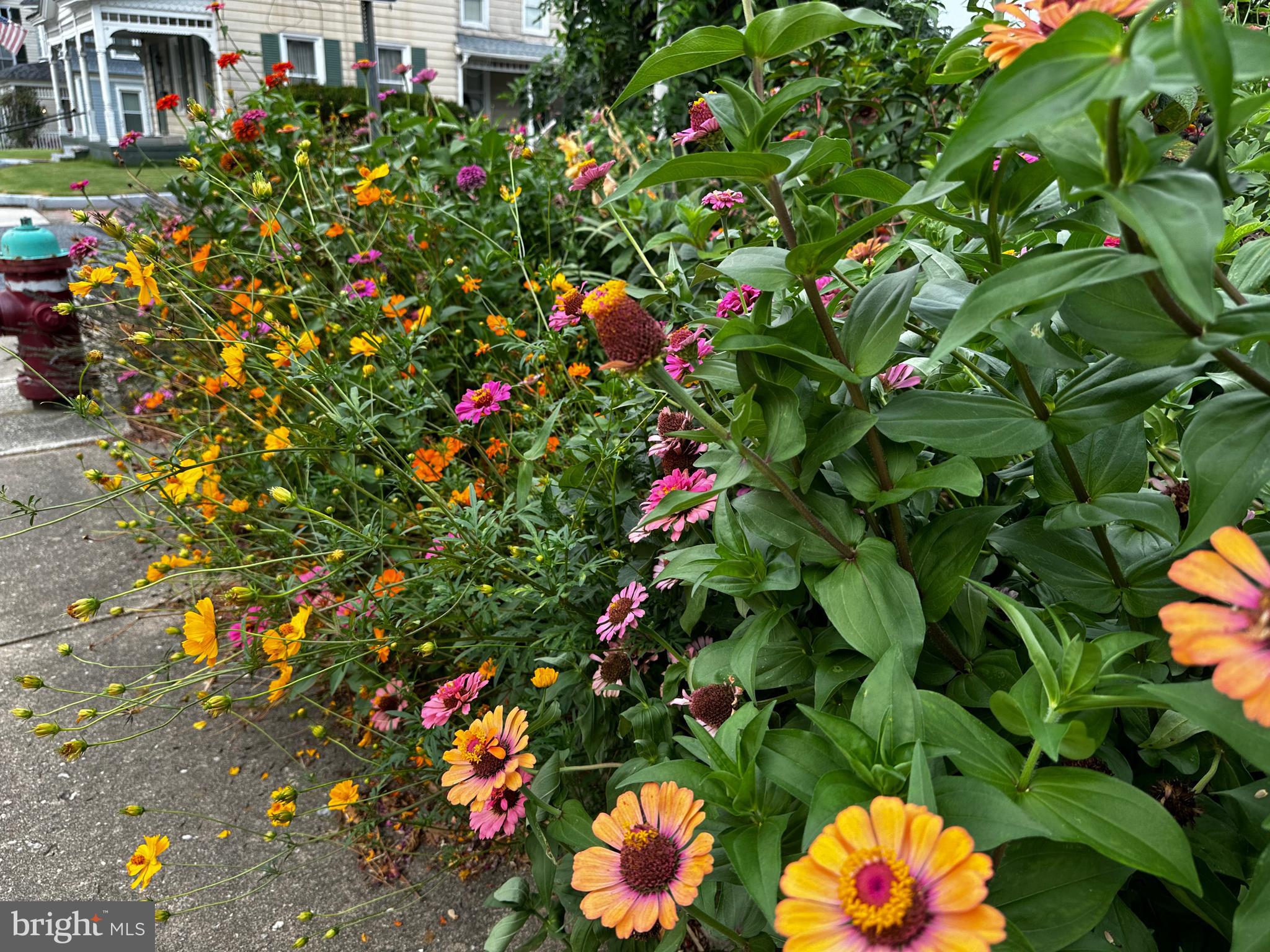 201 Federal Street Milton, DE 19968 - Photo 68 of 78
