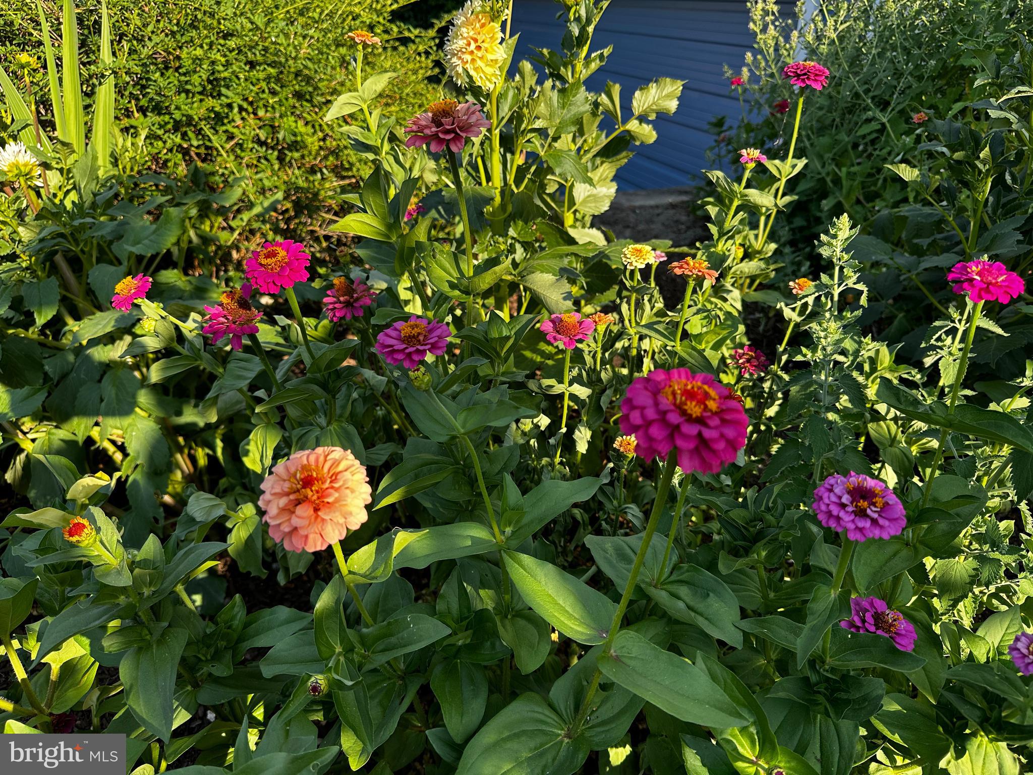 201 Federal Street Milton, DE 19968 - Photo 71 of 78