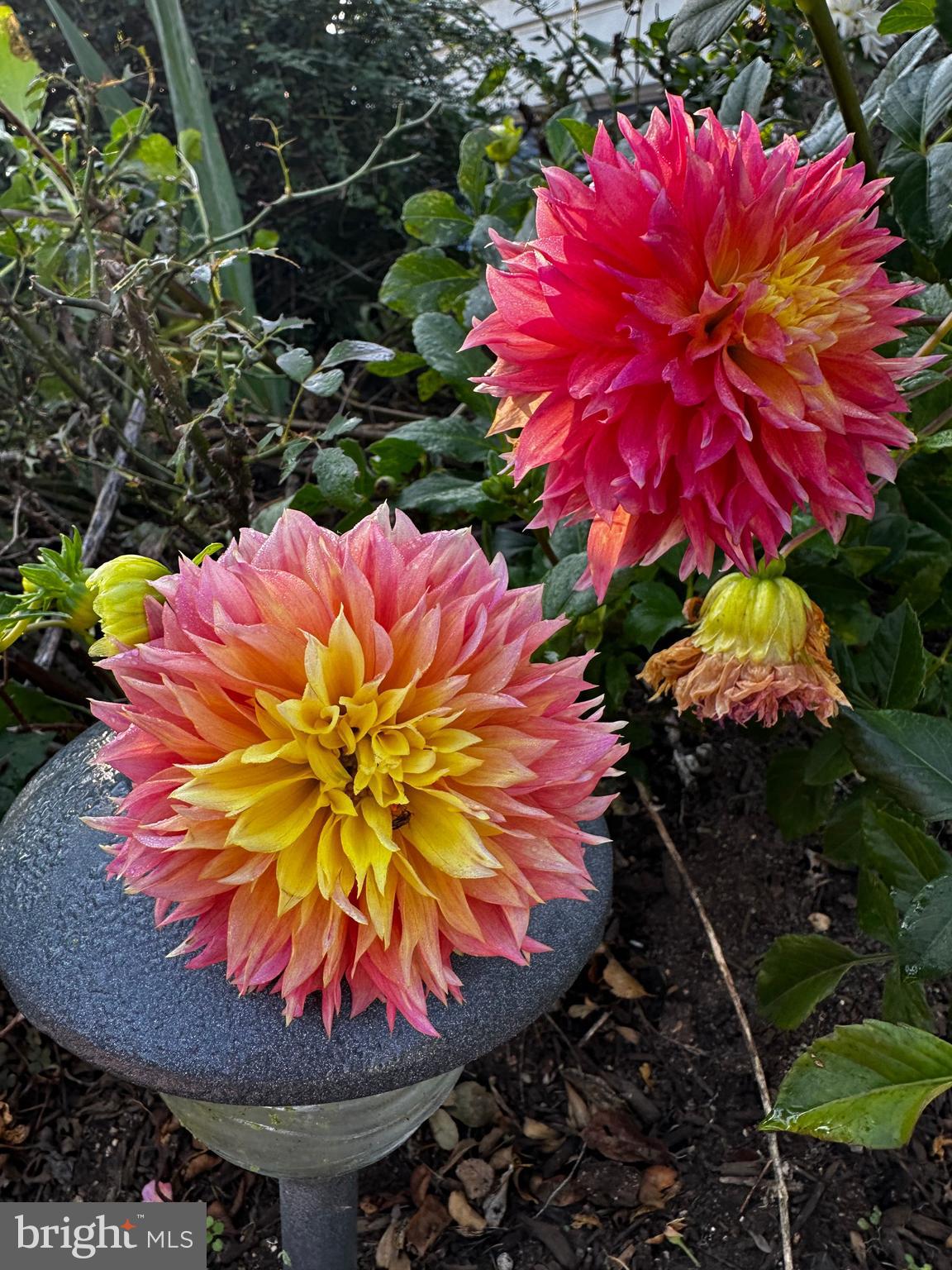 201 Federal Street Milton, DE 19968 - Photo 73 of 78