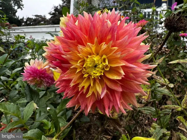 $685,000 | 201 Federal Street, Milton, DE 19968