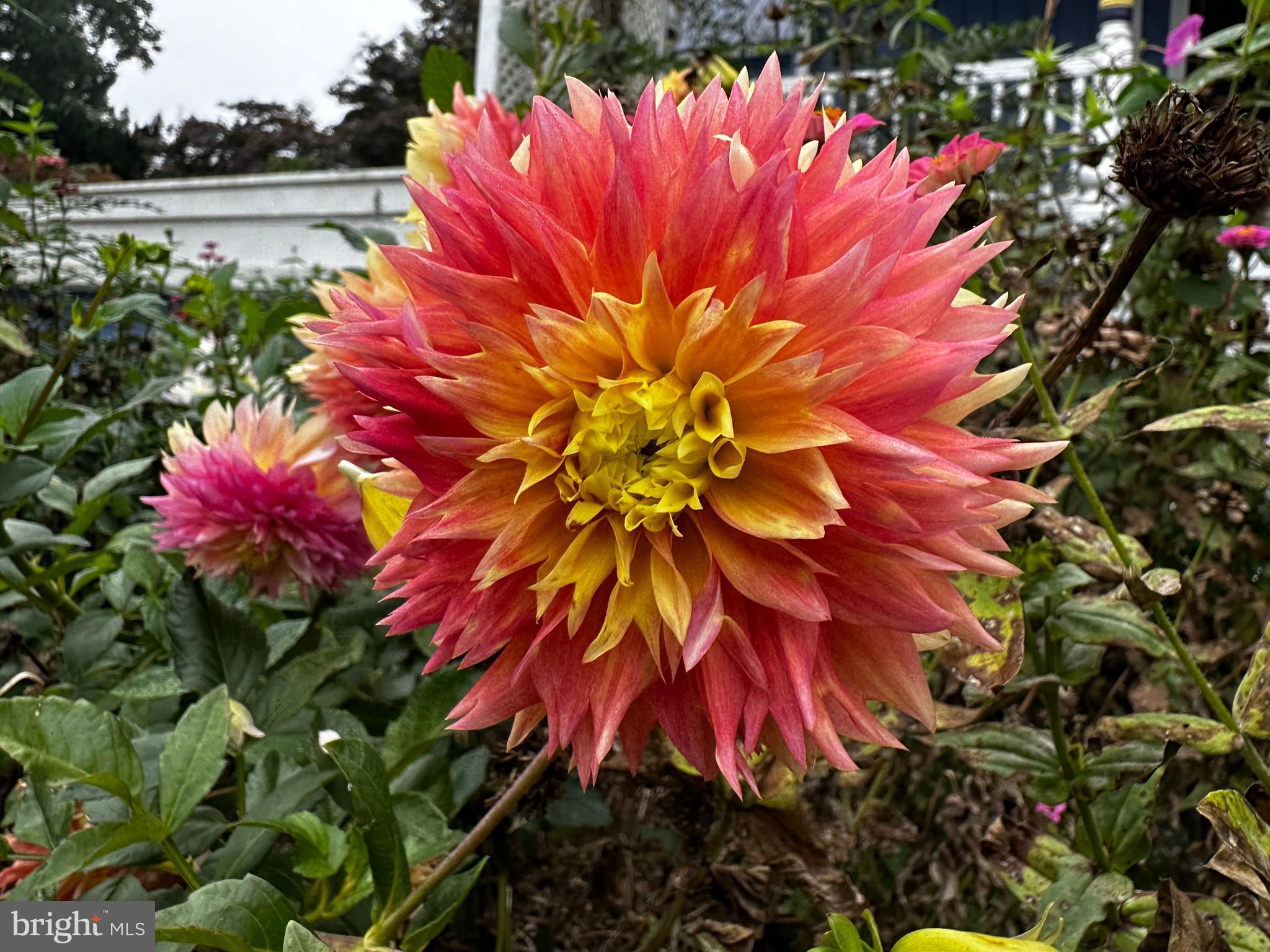 201 Federal Street Milton, DE 19968 - Photo 75 of 78