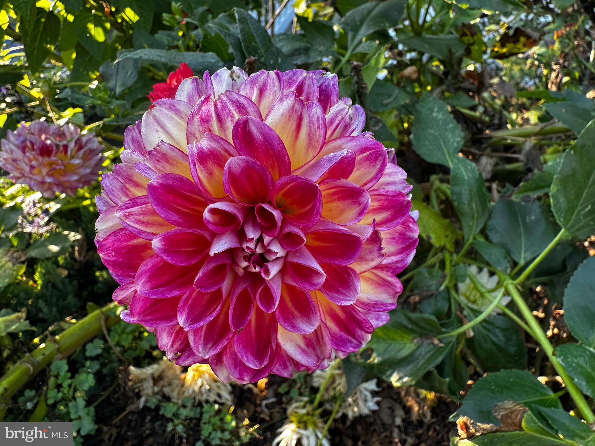 201 Federal Street Milton, DE 19968 - Photo 76 of 78