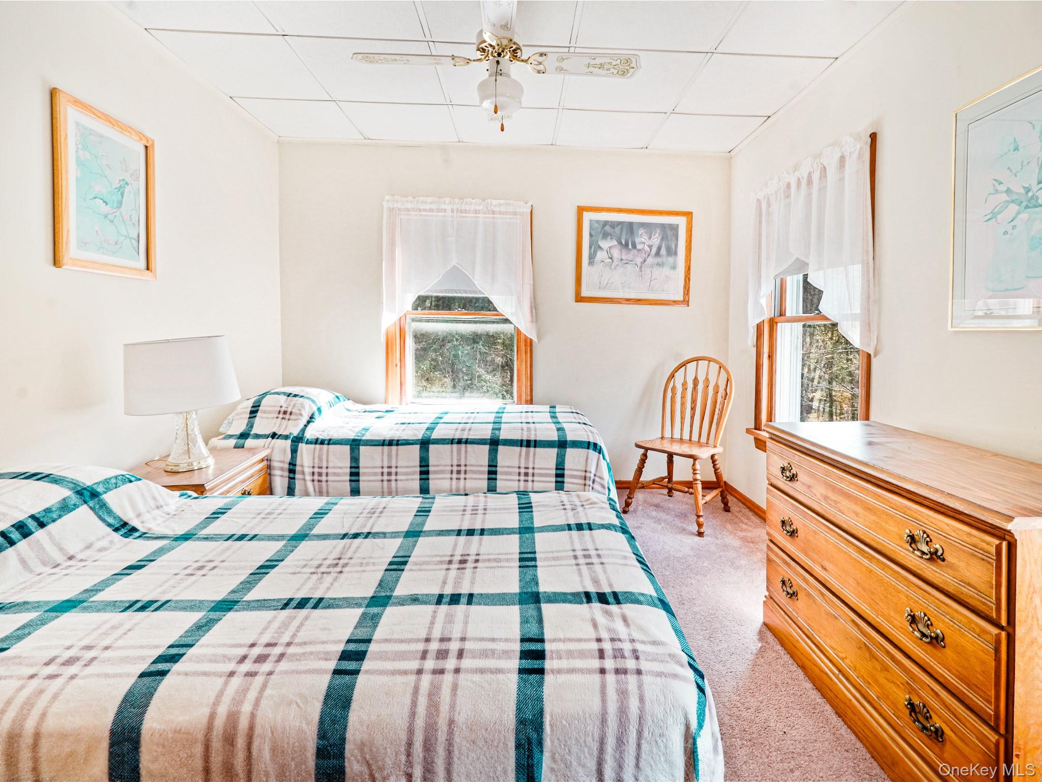2182 Old Rte 17 Roscoe, NY 12776 - Photo 14 of 32 Carpeted bedroom with a paneled ceiling and baseboards