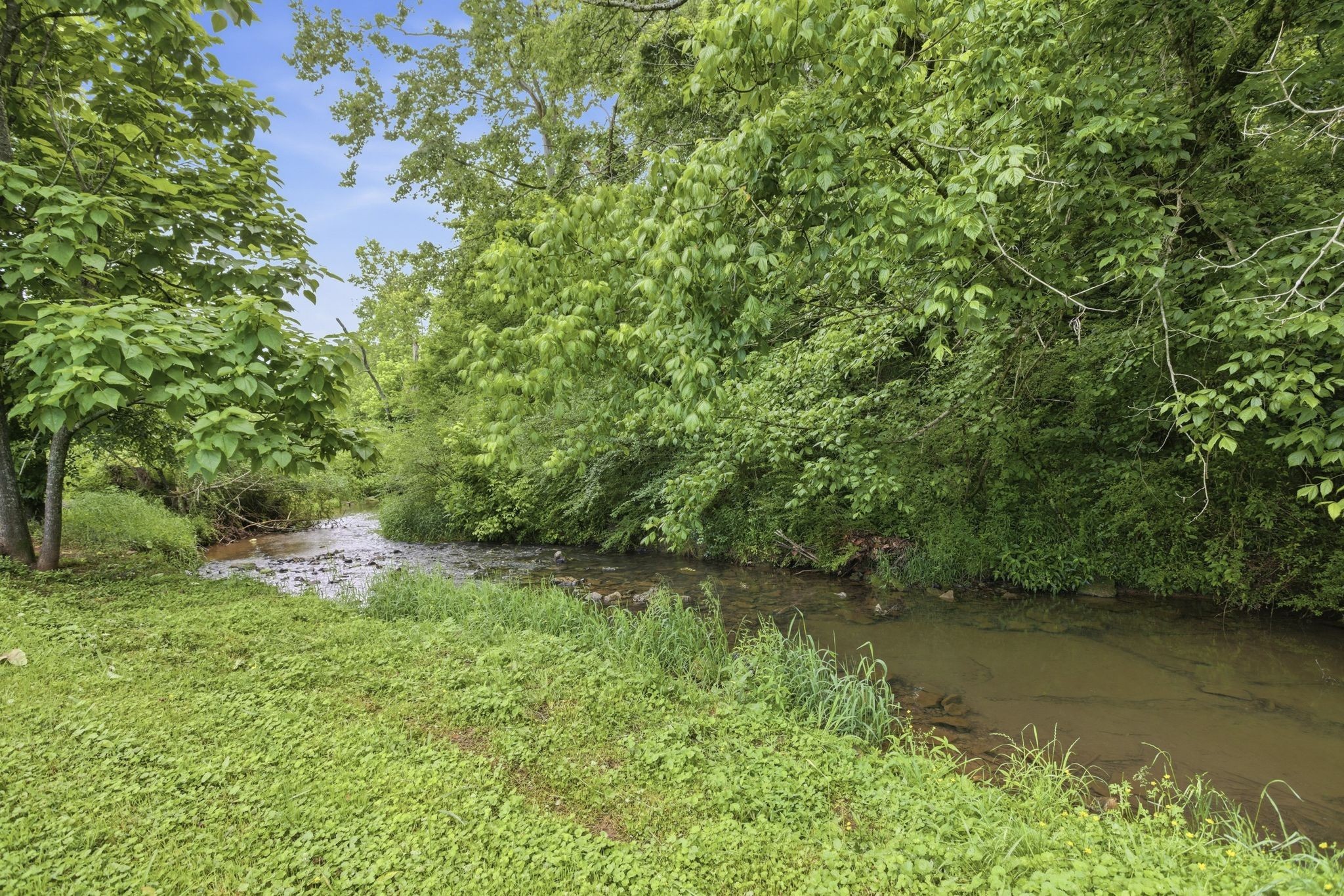 2907 Dodson Gap Road Culleoka, TN 38451 - Photo 15 of 29