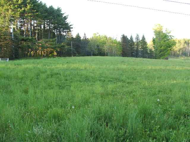 0 Bills Road Galway, NY 12074 - Photo 3 of 5 Photo 3