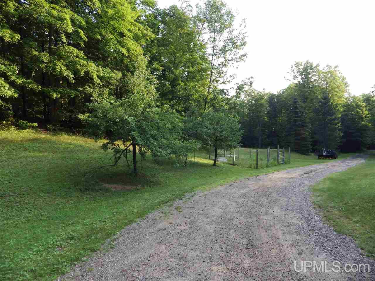 305 Town Hall Road Skandia, MI 49885 - Photo 28 of 36