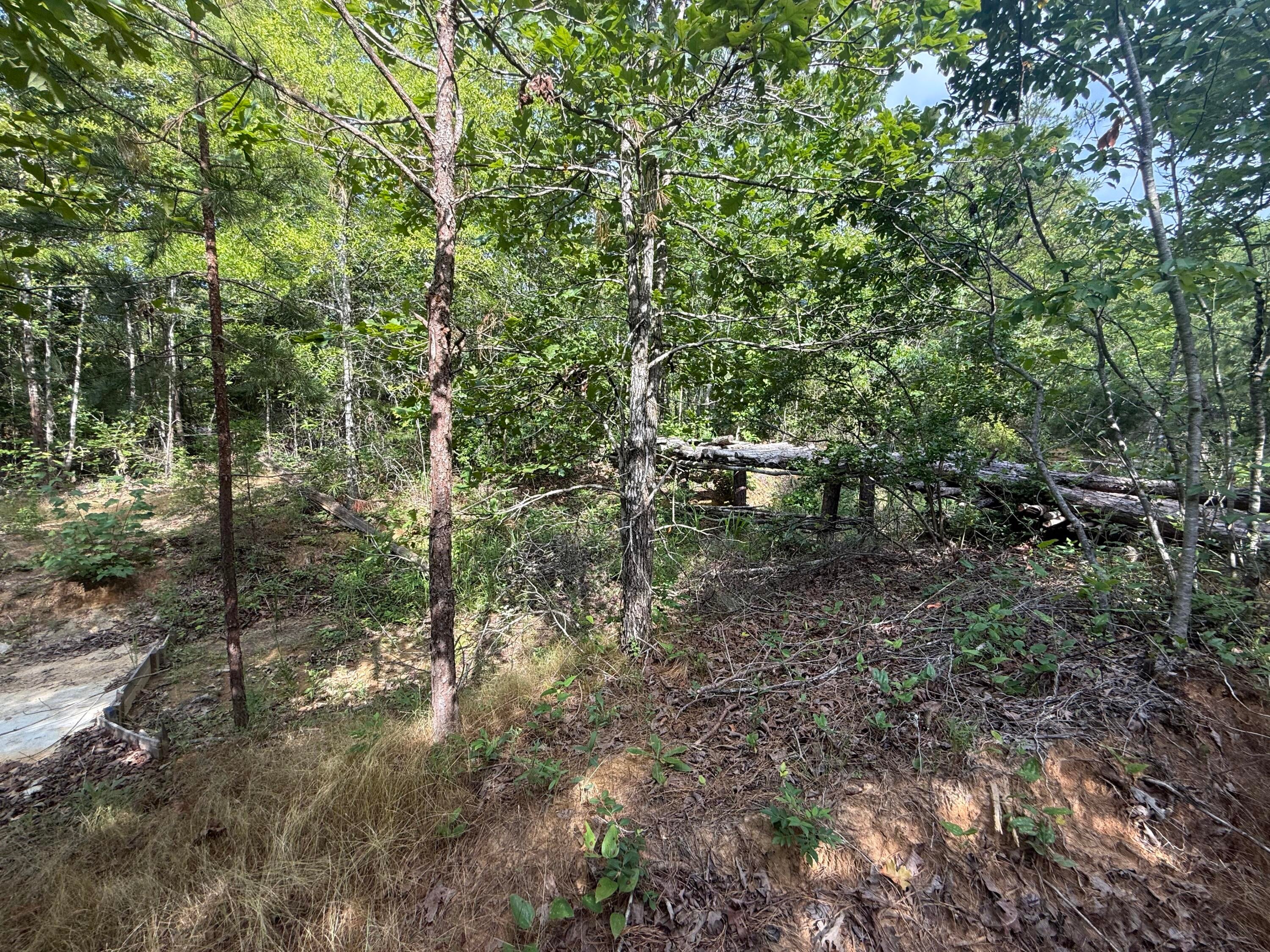 2275 Graham Road Thaxton, MS 38871 - Photo 15 of 17 Gallery Image 15