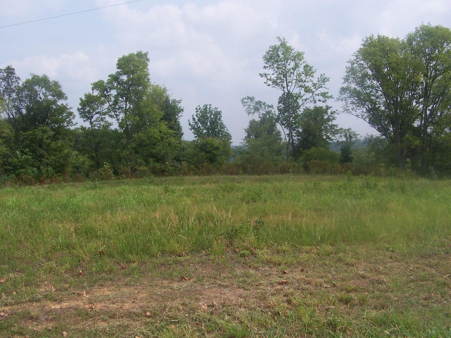0 Franklin Hayes Road Pulaski, TN 38478 - Photo 1 of 4 a view of a field with trees in the background