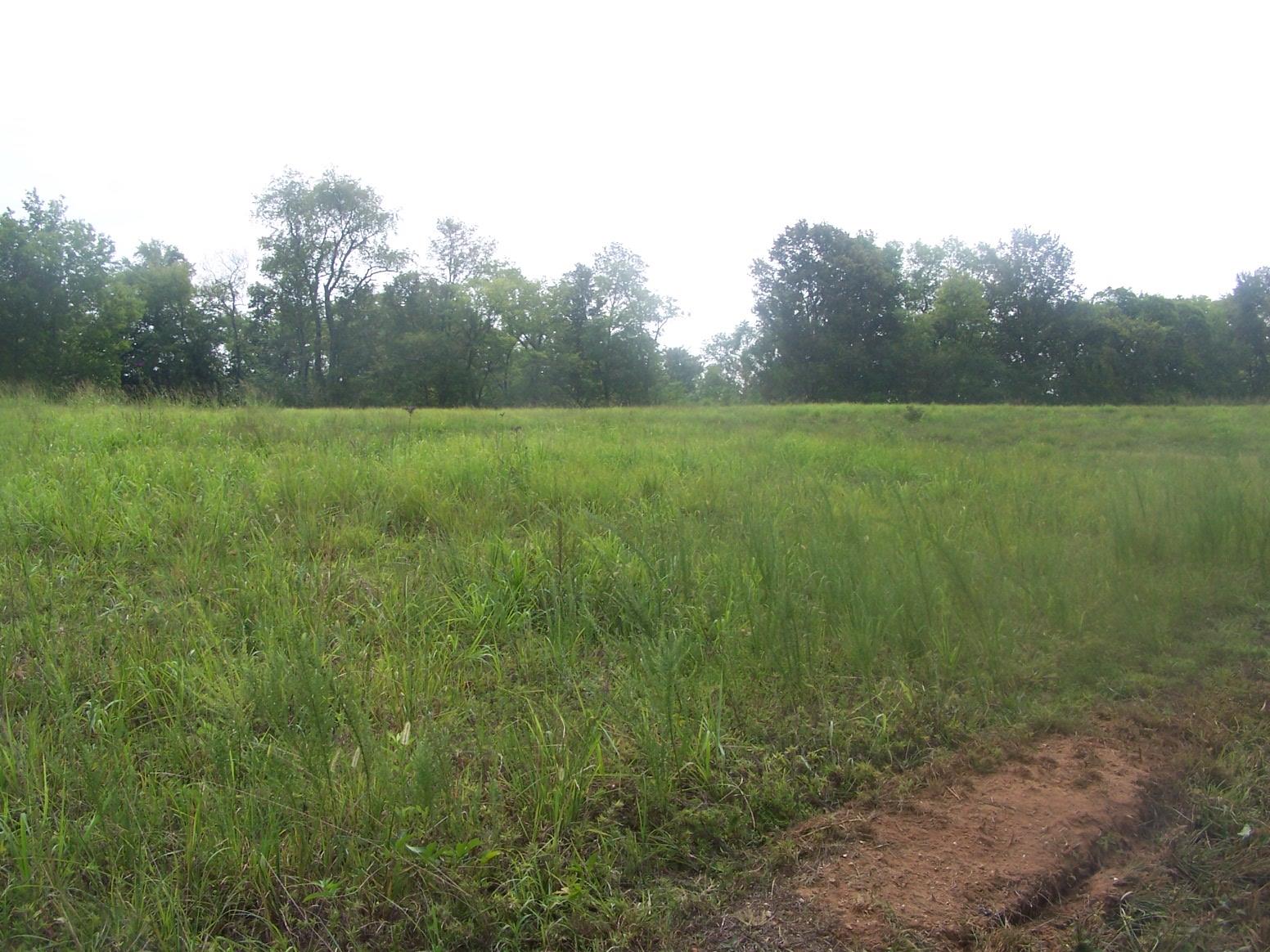 0 Franklin Hayes Road Pulaski, TN 38478 - Photo 2 of 4 a view of a green field with wooden fence