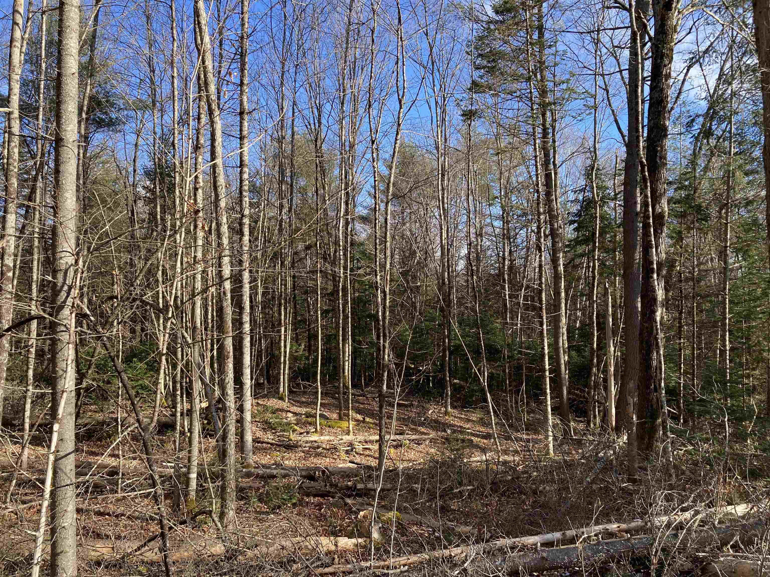 Lot 5 Nh Rte 4a Enfield, NH 03748 - Photo 18 of 27 Gallery Image 18