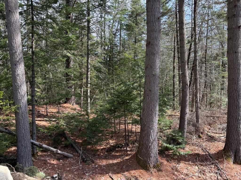 Lot 5 Nh Rte 4a Enfield, NH 03748 - Photo 3 of 27 Gallery Image 3