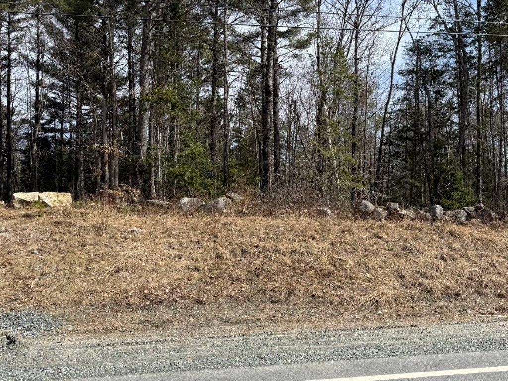 Lot 5 Nh Rte 4a Enfield, NH 03748 - Photo 7 of 27 Gallery Image 7