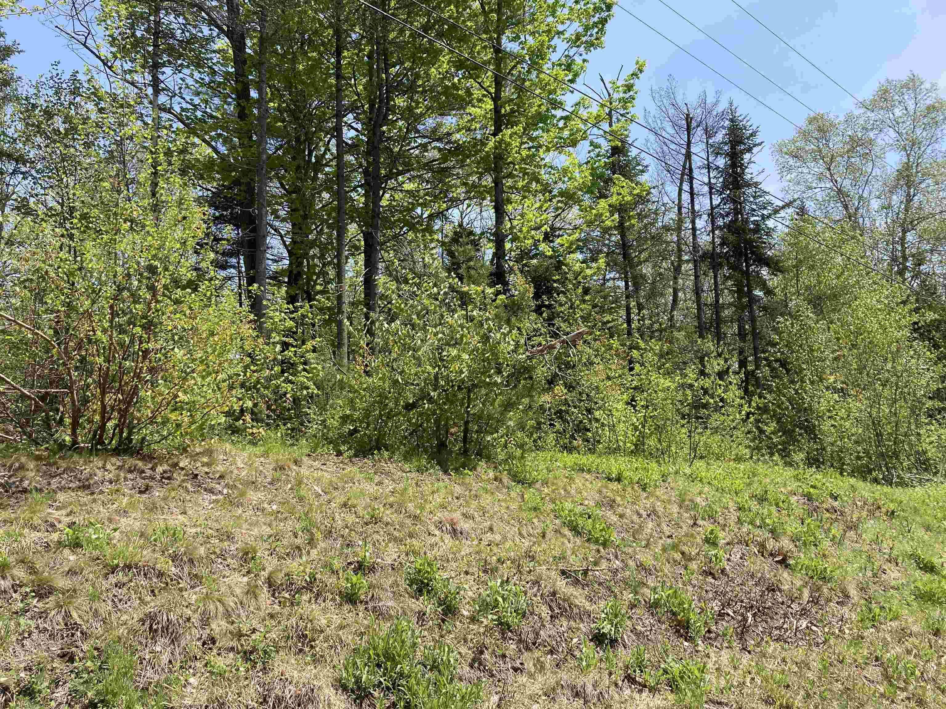 Lot 5 Nh Rte 4a Enfield, NH 03748 - Photo 9 of 27 Gallery Image 9
