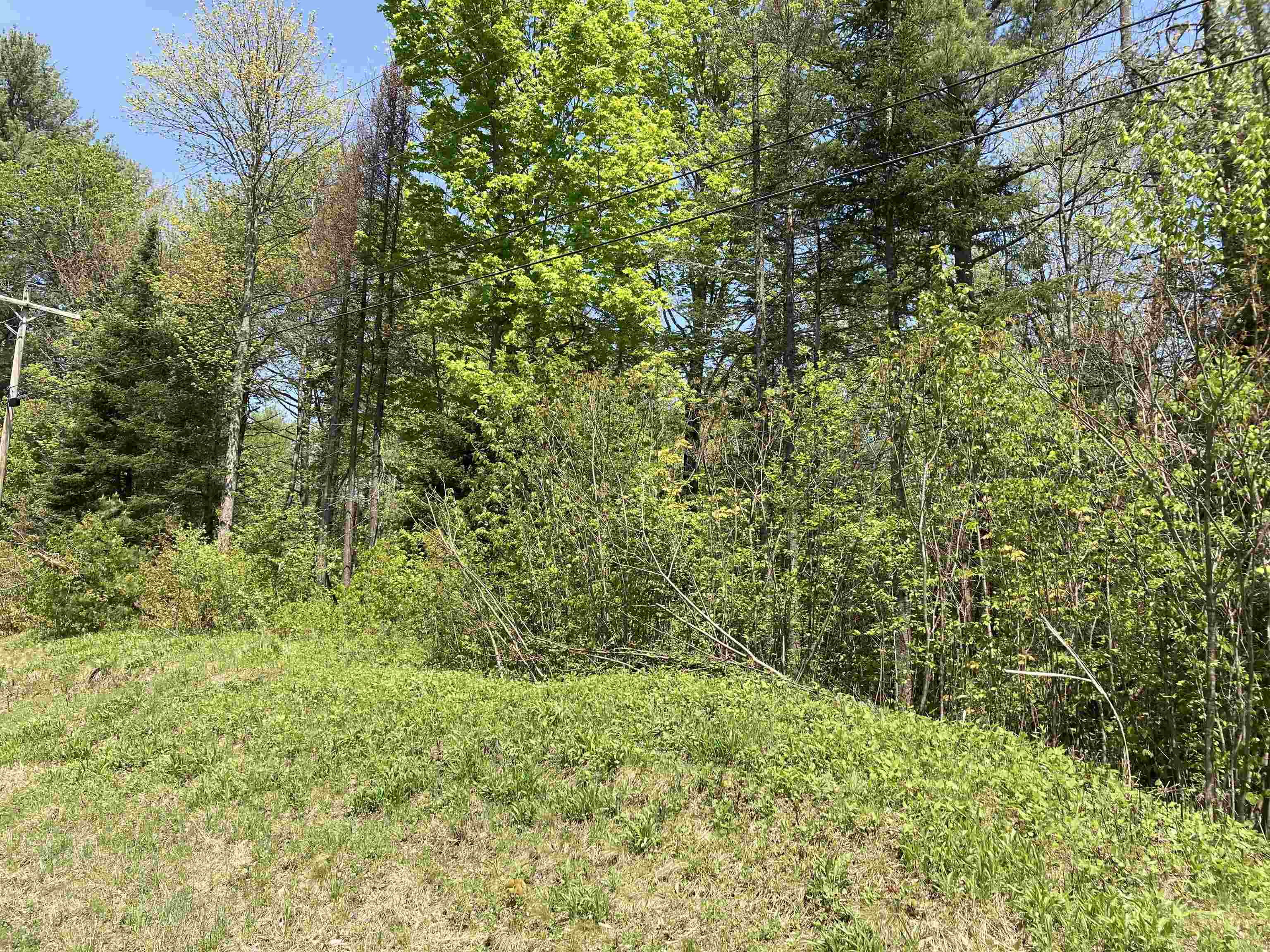 Lot 5 Nh Rte 4a Enfield, NH 03748 - Photo 10 of 27 Gallery Image 10