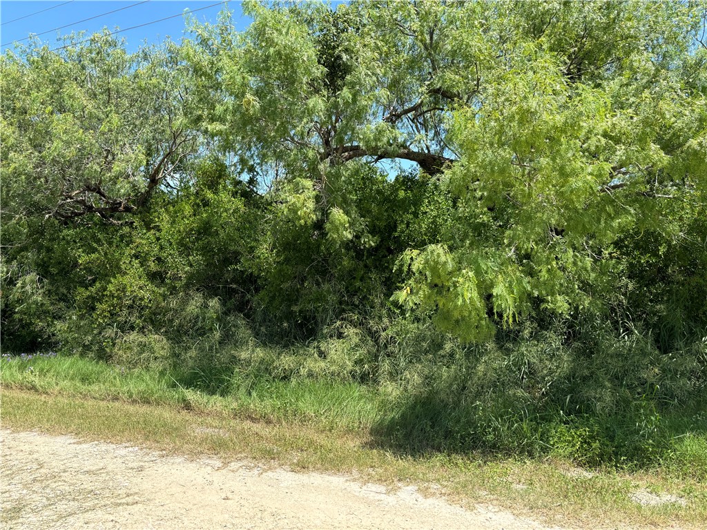 724-726 2nd Street Bayside, TX 78340 - Photo 1 of 1 Wooded 2 lots on second street in Bayside, Tx