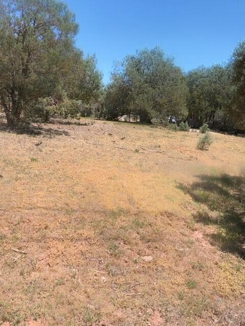 Lot 46 Park Road Payson, AZ 85541 - Photo 4 of 6 pic3