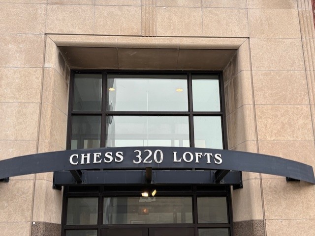 320 East 21st Street, Unit 405 Chicago, IL 60616 - Photo 2 of 15