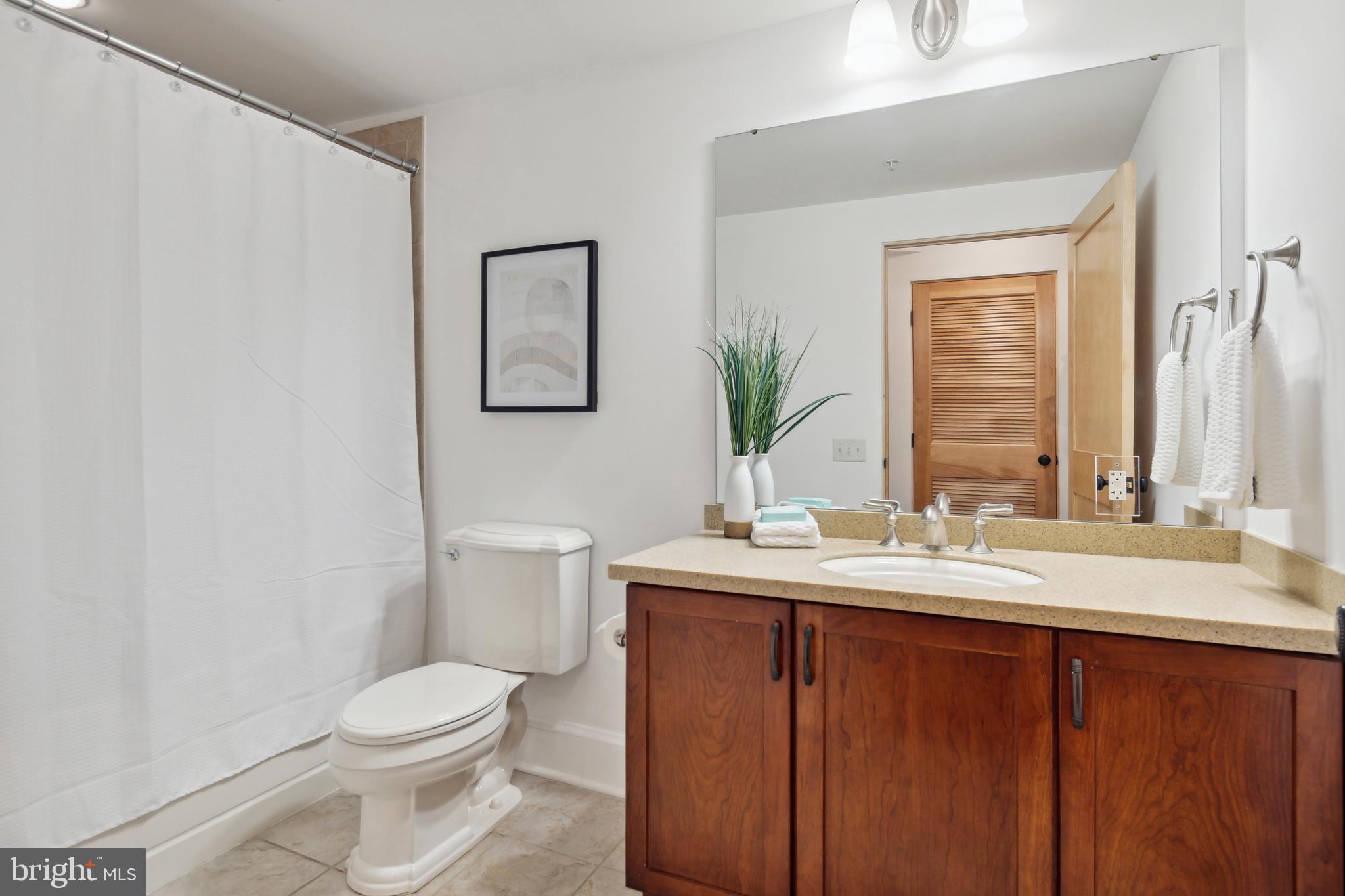 9610 Dewitt Drive, Unit B105 Silver Spring, MD 20910 - Photo 11 of 30 Large mirror and plenty of storage