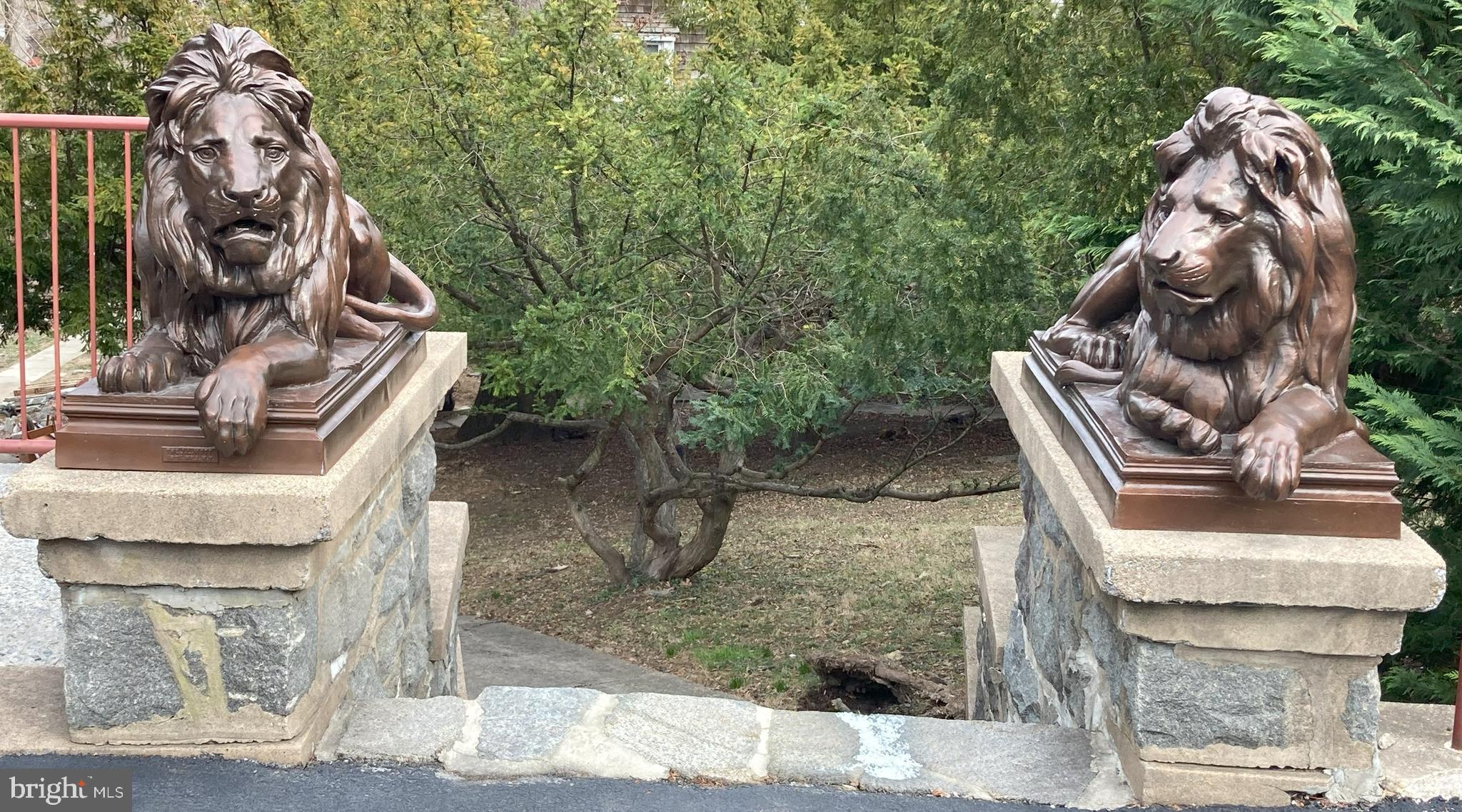 9610 Dewitt Drive, Unit B105 Silver Spring, MD 20910 - Photo 25 of 30 Reclining Lions
