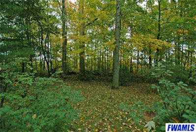 4629 Schwartz Road New Haven, IN 46774 - Photo 4 of 20