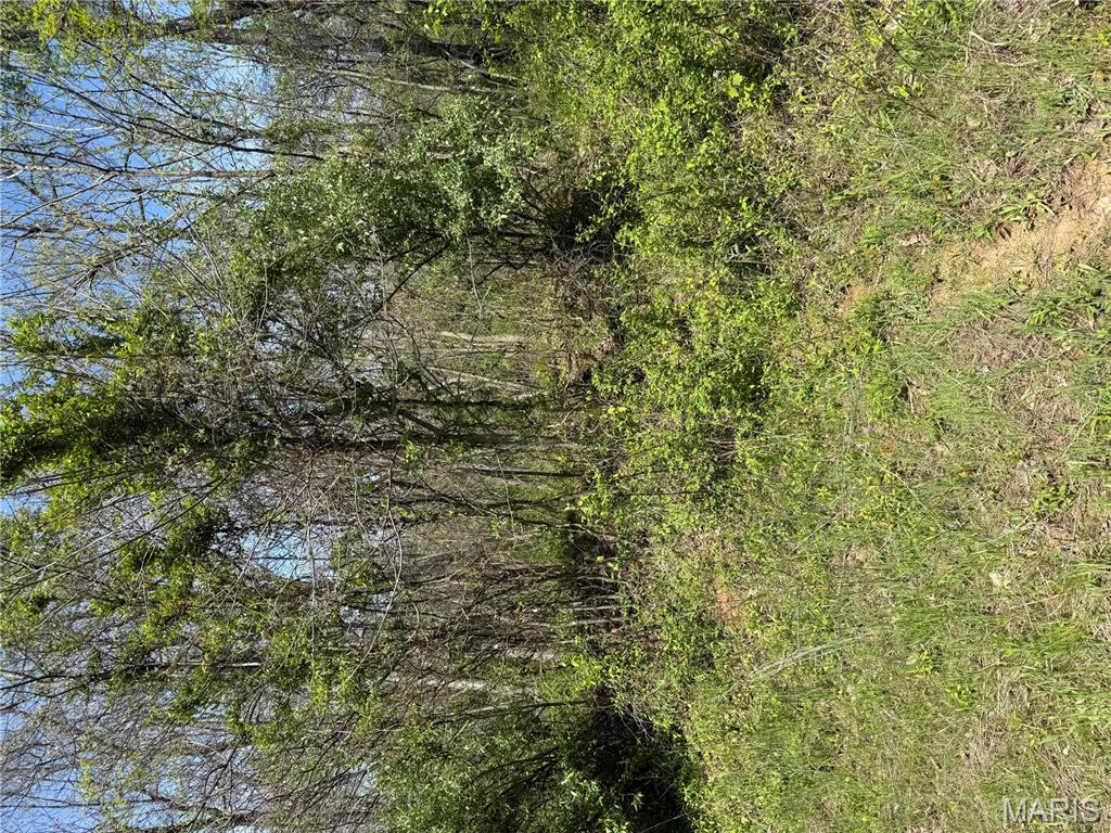 0 East Gun Creek Road Ina, IL 62846 - Photo 12 of 19