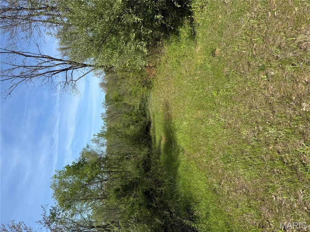 0 East Gun Creek Road Ina, IL 62846 - Photo 13 of 19