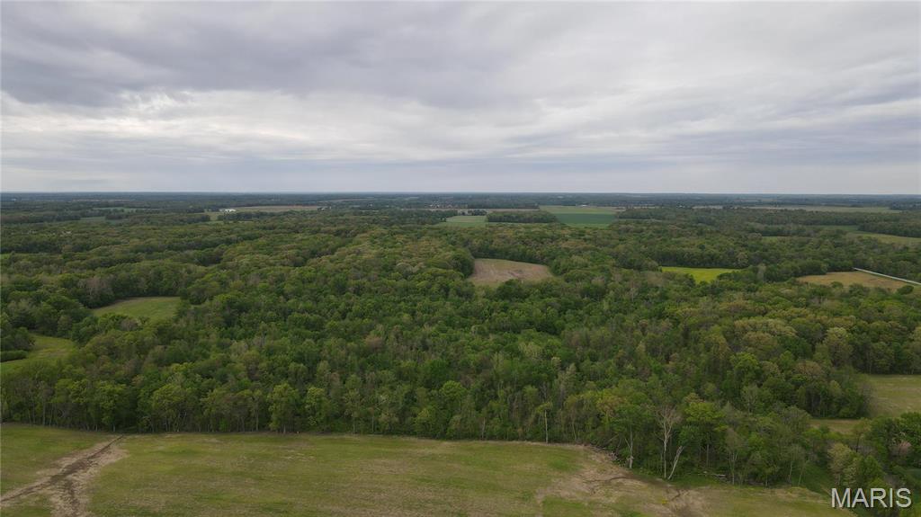 0 East Gun Creek Road Ina, IL 62846 - Photo 3 of 19