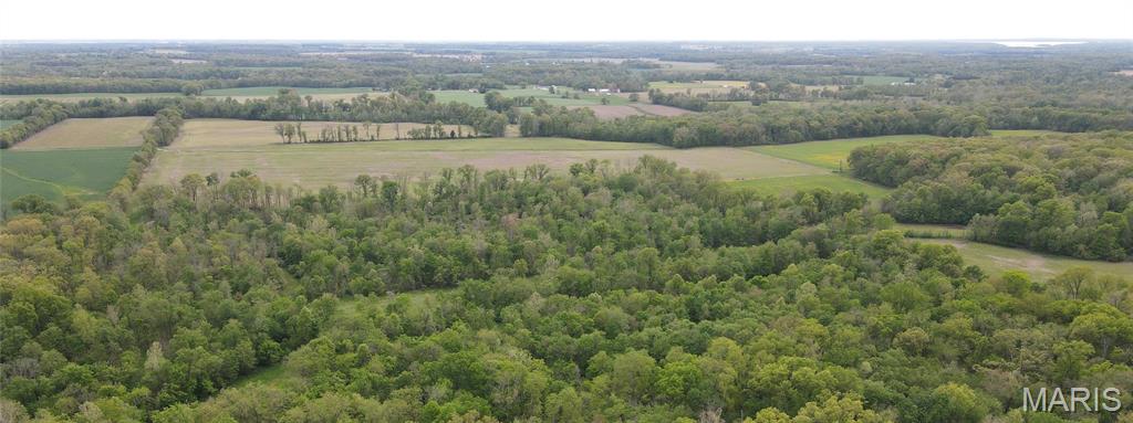 0 East Gun Creek Road Ina, IL 62846 - Photo 5 of 19