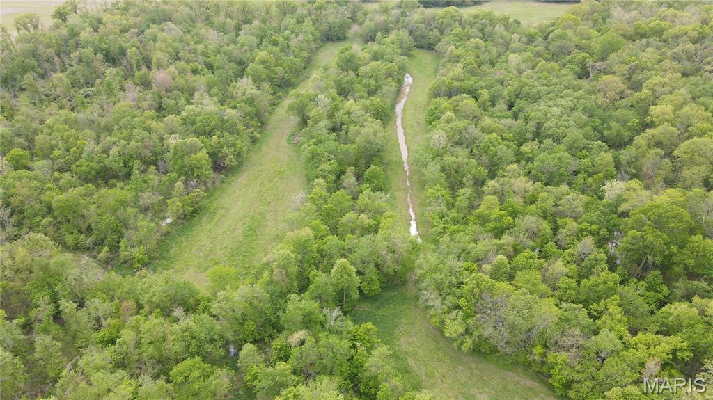 0 East Gun Creek Road Ina, IL 62846 - Photo 7 of 19