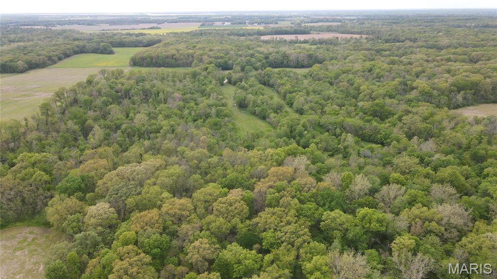 0 East Gun Creek Road Ina, IL 62846 - Photo 8 of 19