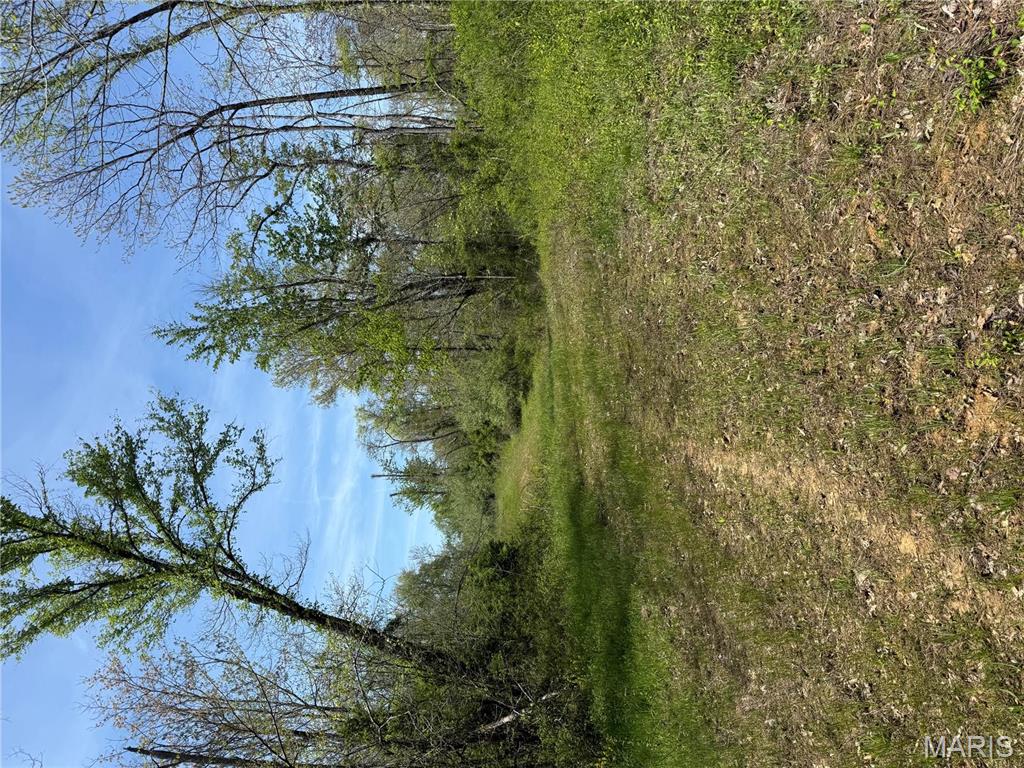 0 East Gun Creek Road Ina, IL 62846 - Photo 9 of 19