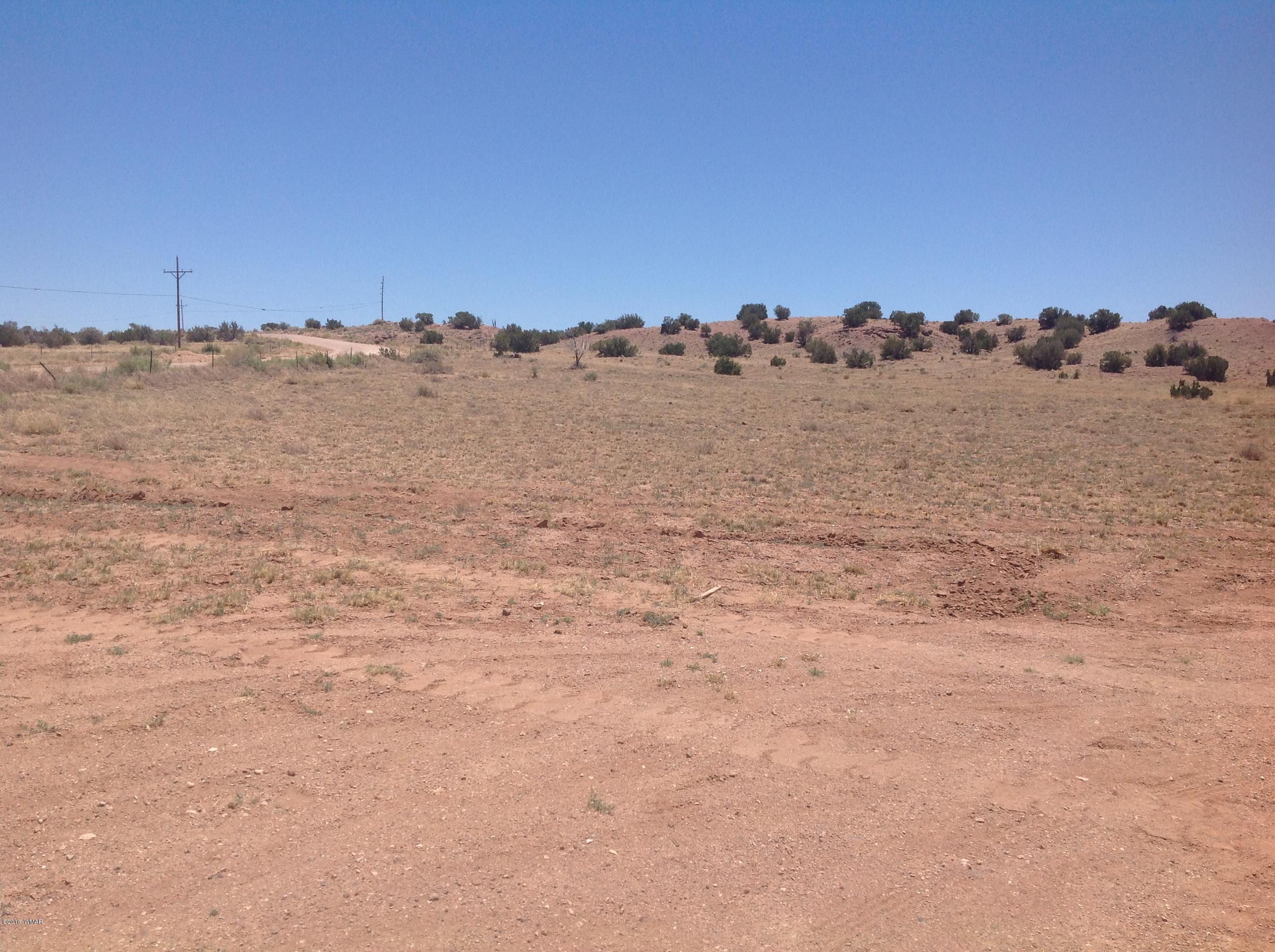 6040 C R 6040, Unit 1 St. Johns, AZ 85936 - Photo 1 of 5