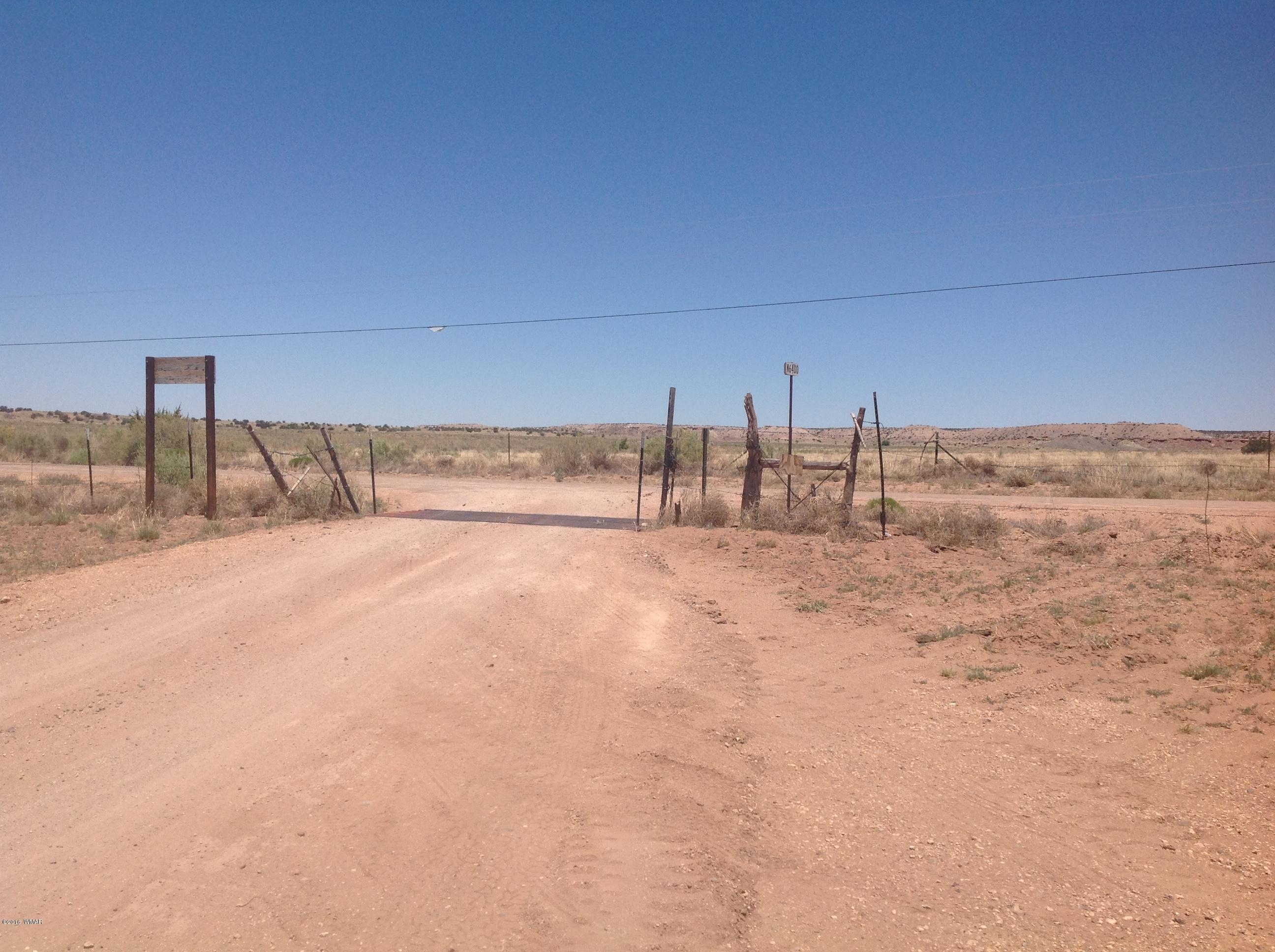 6040 C R 6040, Unit 1 St. Johns, AZ 85936 - Photo 4 of 5