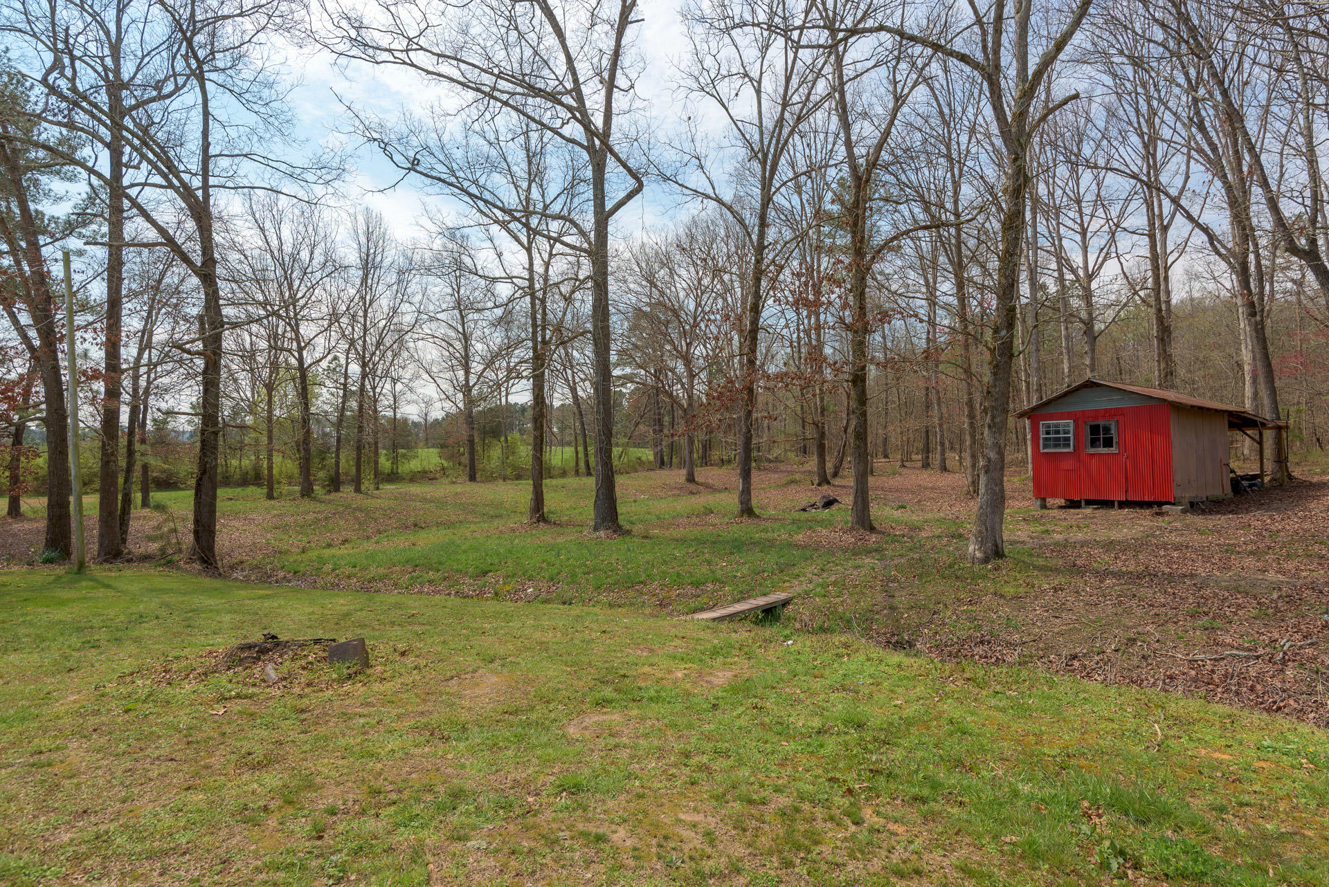 4672 Houston Valley Road Ringgold, GA 30736 - Photo 21 of 27 Backyard