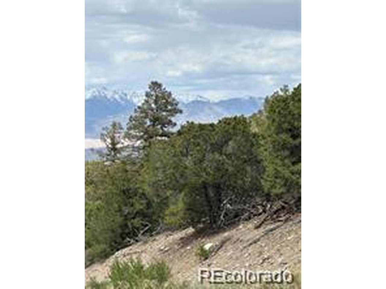 2 Arrestre Mosca, CO 81146 - Photo 3 of 4