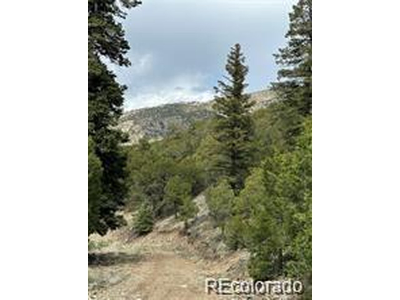 2 Arrestre Mosca, CO 81146 - Photo 4 of 4 a view of a forest