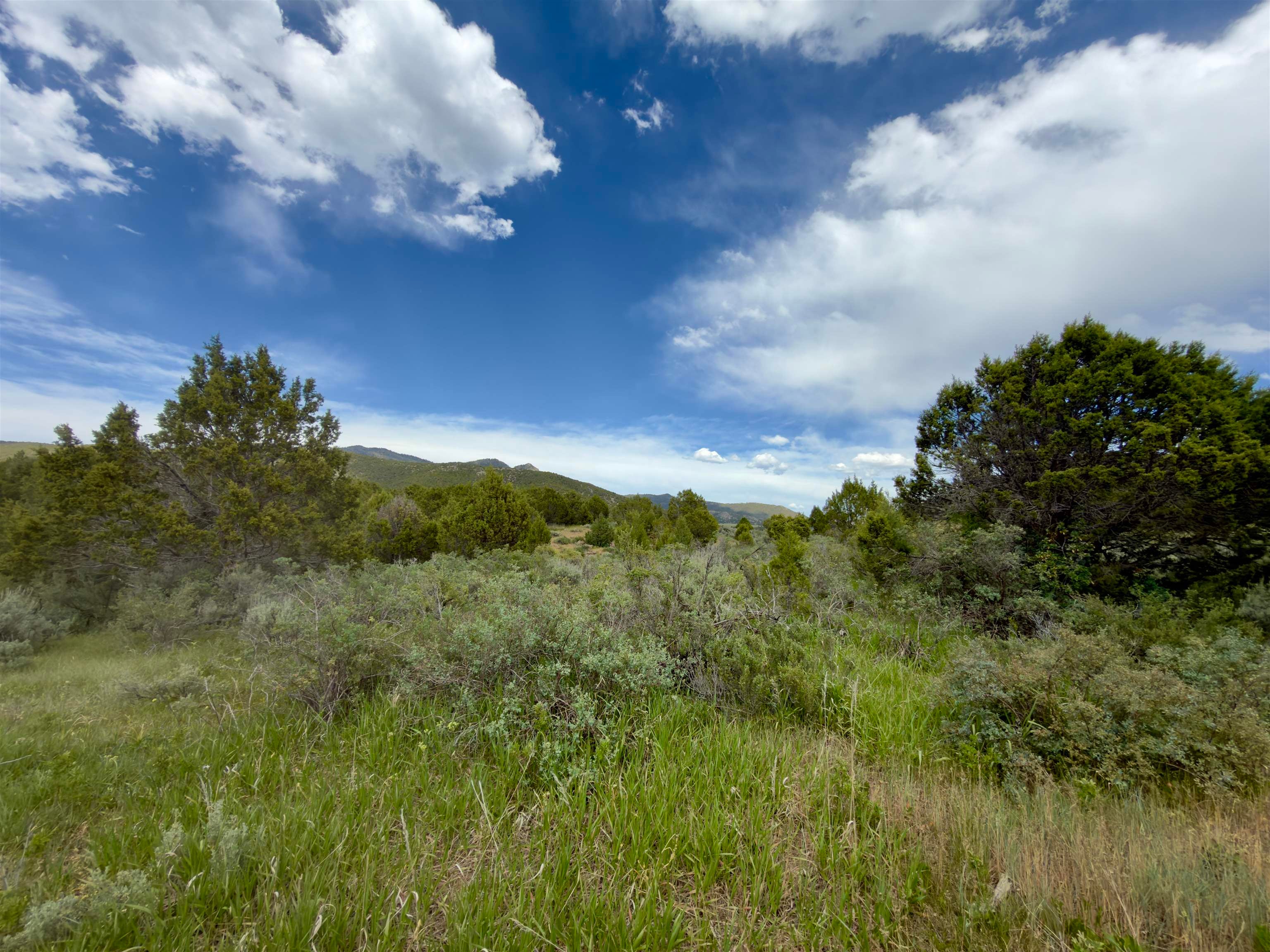 Tbd Fish Creek Road Lava Hot Springs, ID 83246 - Photo 39 of 50 Gallery Image 39