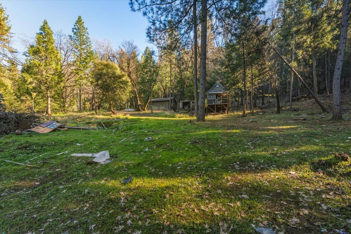 12056 North Bloomfield Road Nevada City, CA 95959 - Photo 11 of 50 a view of a park with large trees