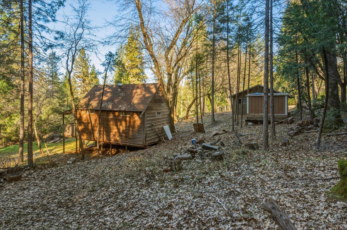 12056 North Bloomfield Road Nevada City, CA 95959 - Photo 13 of 50 a view of a outdoor space with a tree