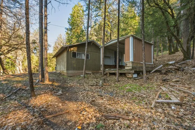 a small barn in middle of the forest