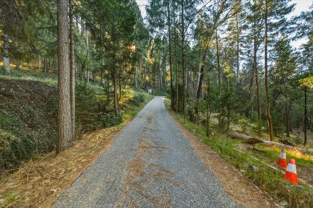 a view of a pathway with a yard
