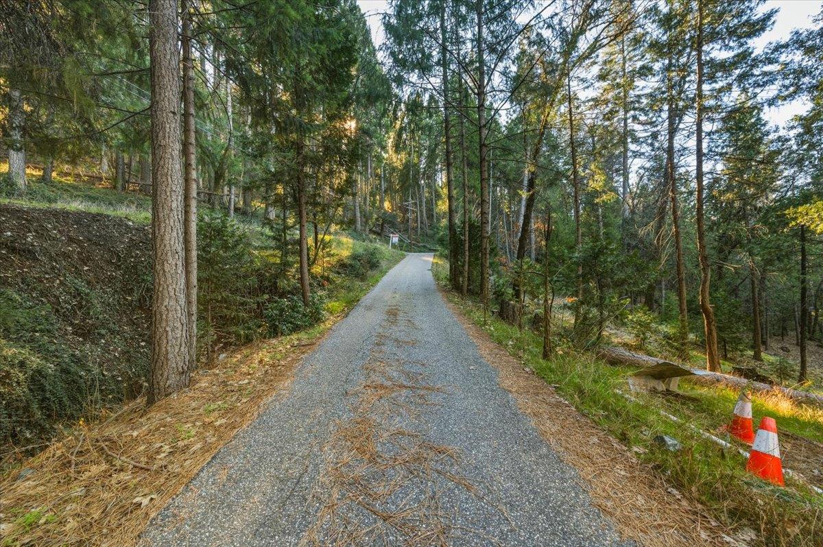 12056 North Bloomfield Road Nevada City, CA 95959 - Photo 24 of 50 a view of a pathway with a yard