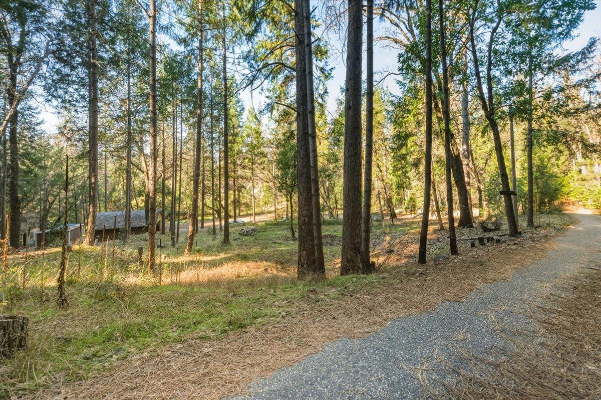 12056 North Bloomfield Road Nevada City, CA 95959 - Photo 25 of 50