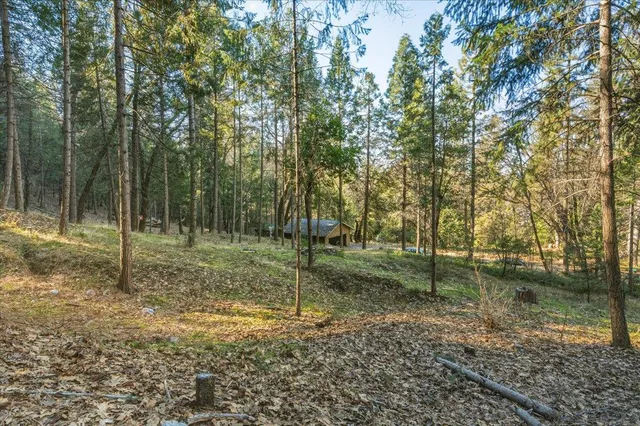 a view of yard space with trees