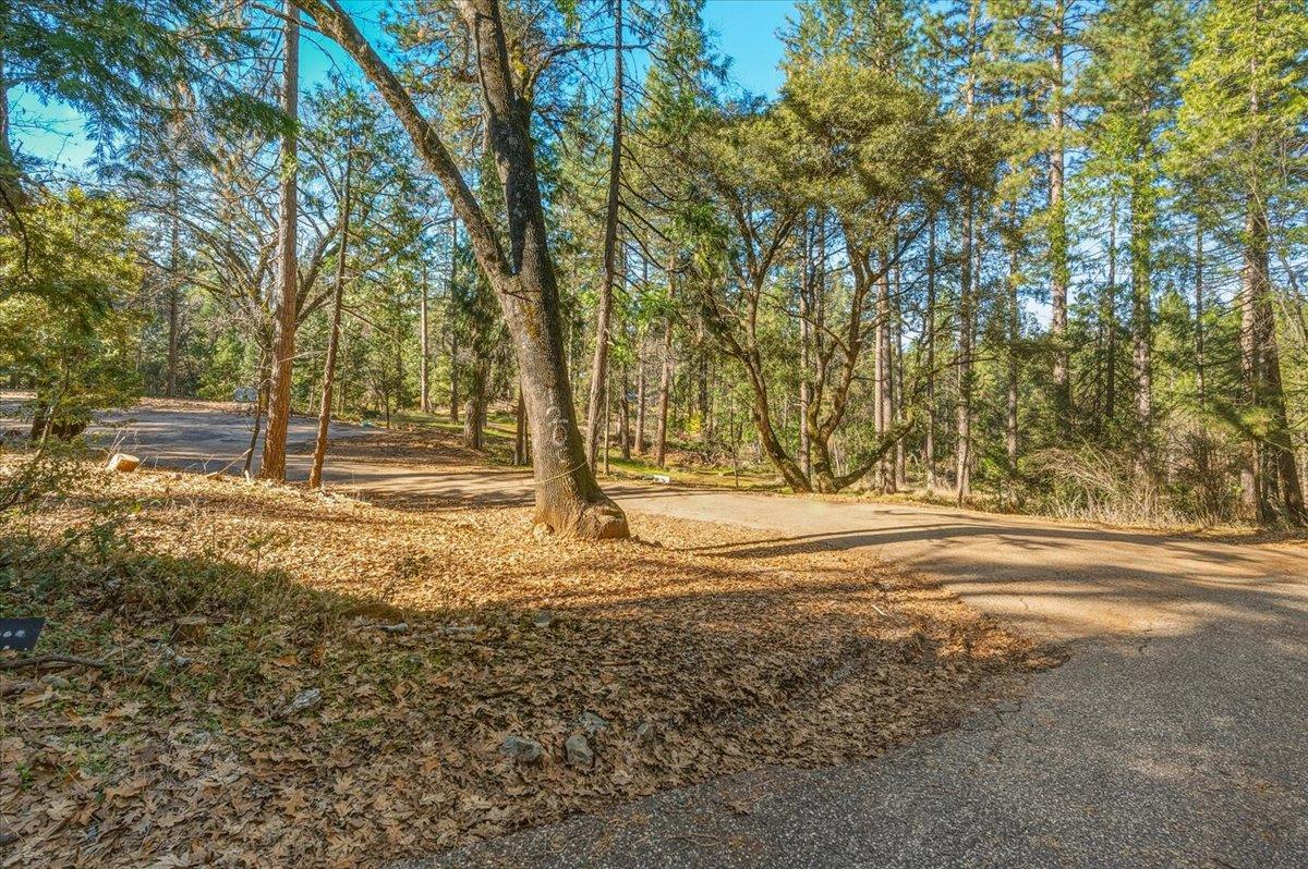 12056 North Bloomfield Road Nevada City, CA 95959 - Photo 27 of 50 a view of yard space with trees