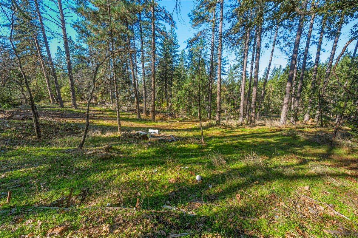 12056 North Bloomfield Road Nevada City, CA 95959 - Photo 28 of 50 a view of a golf course