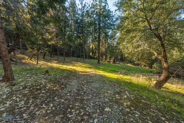 a view of a yard with a trees