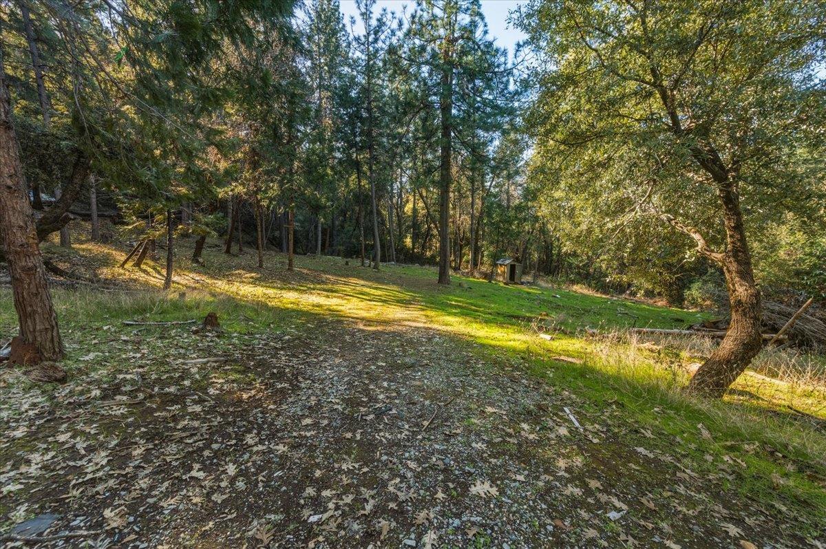 12056 North Bloomfield Road Nevada City, CA 95959 - Photo 30 of 50 a view of a swimming pool with an outdoor space
