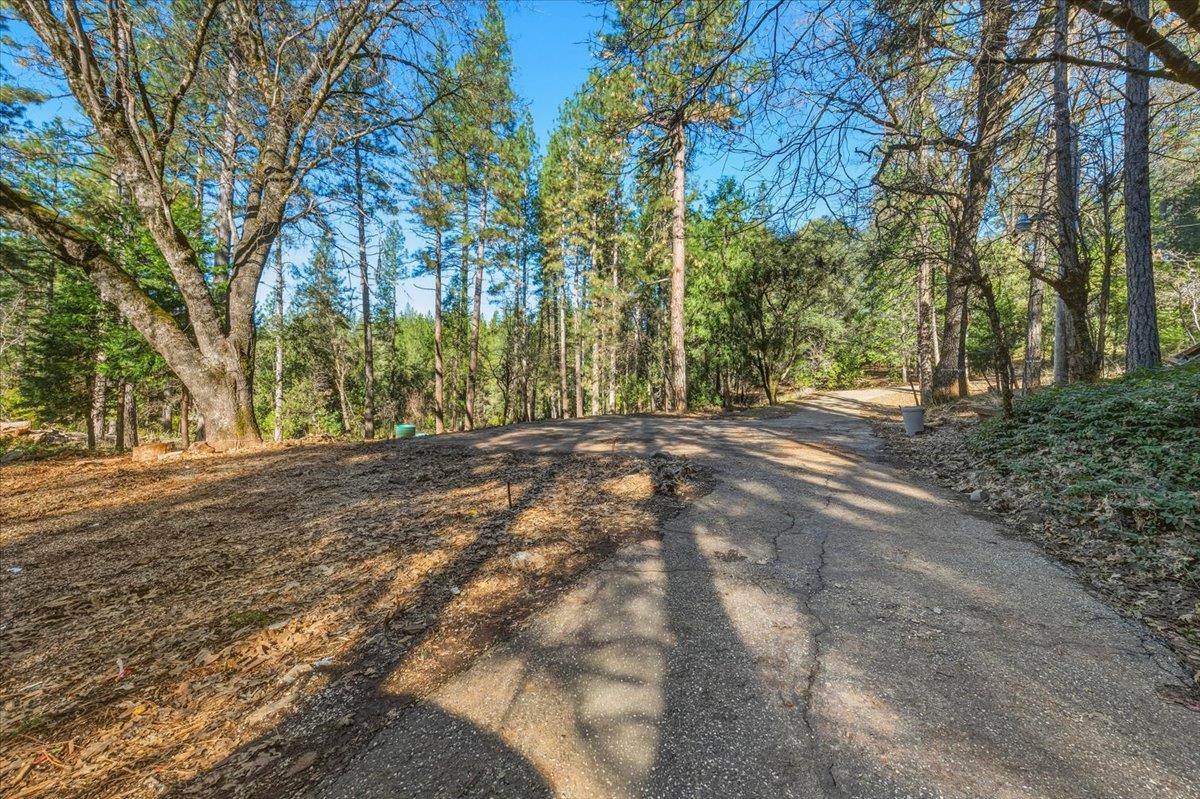 12056 North Bloomfield Road Nevada City, CA 95959 - Photo 31 of 50 a view of dirt yard with a large trees
